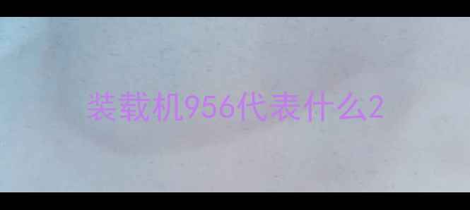 图片 装载机956代表什么2