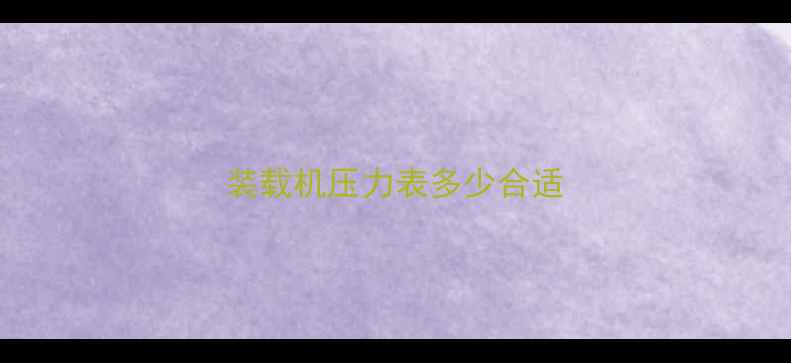 图片 装载机压力表多少合适