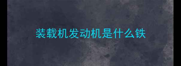 图片 装载机发动机是什么铁