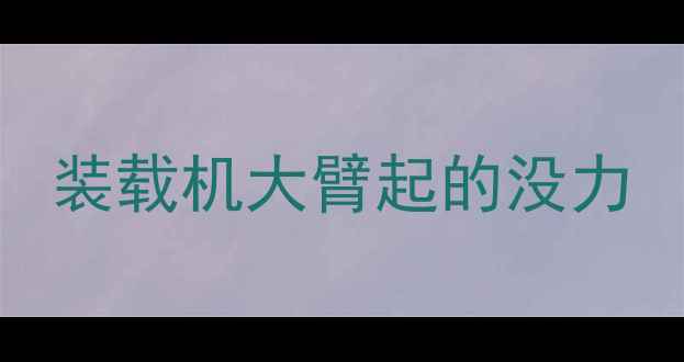图片 装载机大臂起的没力