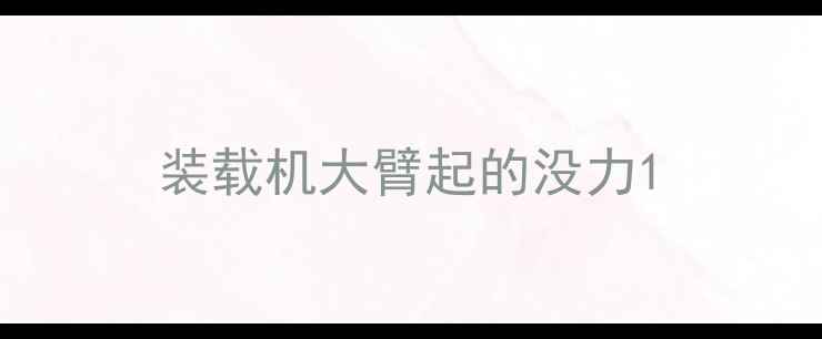图片 装载机大臂起的没力1