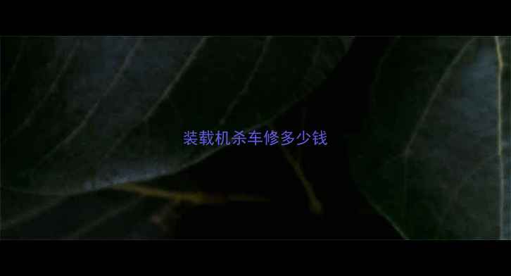 图片 装载机杀车修多少钱