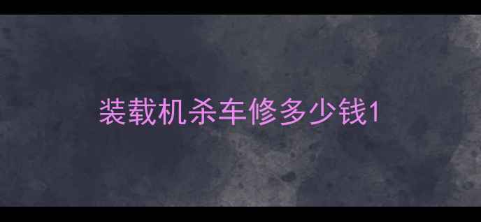 图片 装载机杀车修多少钱1