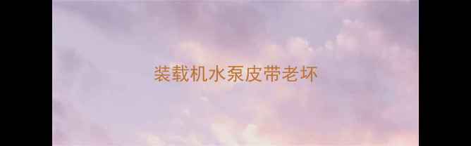 图片 装载机水泵皮带老坏