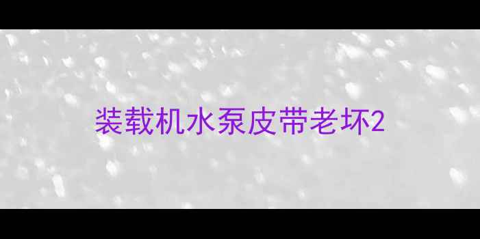图片 装载机水泵皮带老坏2