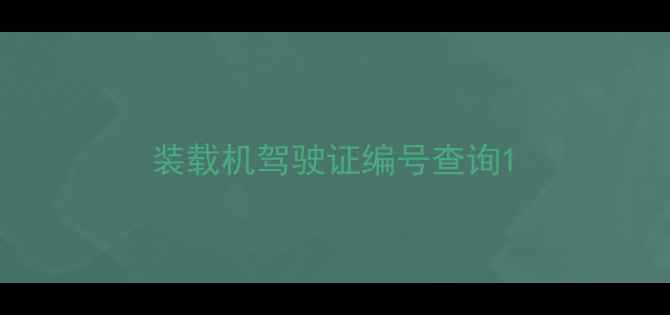 图片 装载机驾驶证编号查询1
