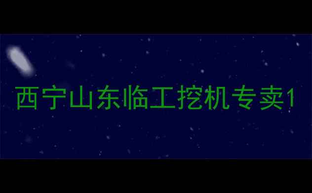图片 西宁山东临工挖机专卖1