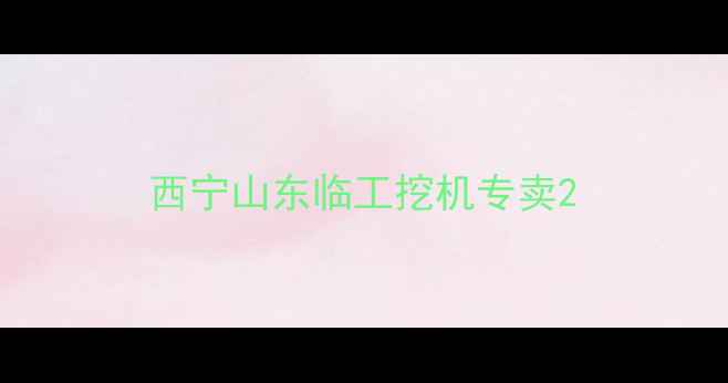 图片 西宁山东临工挖机专卖2