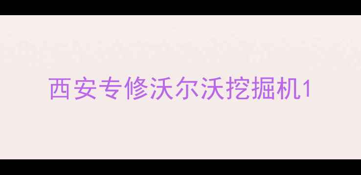 图片 西安专修沃尔沃挖掘机1
