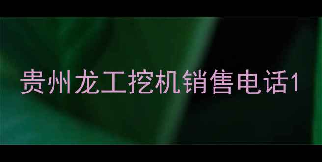 图片 贵州龙工挖机销售电话1