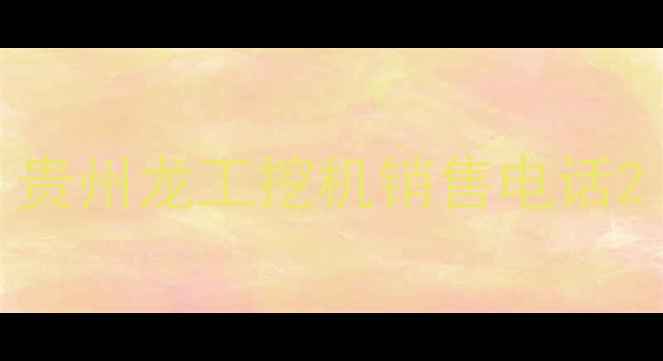 图片 贵州龙工挖机销售电话2