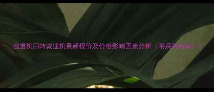 图片 起重机回转减速机最新报价及价格影响因素分析（附采购指南）2