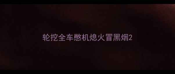 图片 轮挖全车憋机熄火冒黑烟2