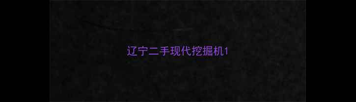 图片 辽宁二手现代挖掘机1