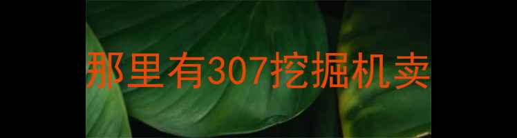 图片 那里有307挖掘机卖
