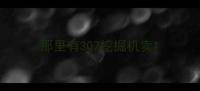 图片 那里有307挖掘机卖1