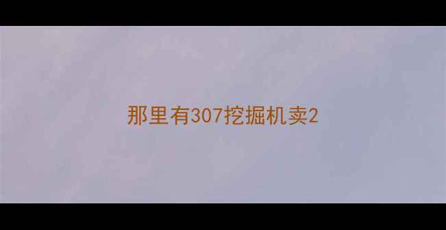 图片 那里有307挖掘机卖2