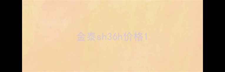 图片 金泰sh36h价格1