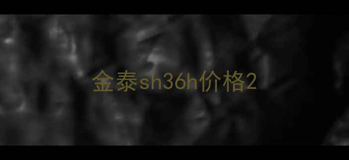 图片 金泰sh36h价格2