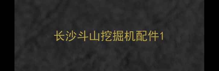 图片 长沙斗山挖掘机配件1