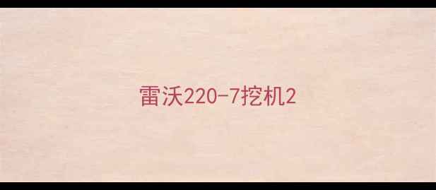 图片 雷沃220-7挖机2