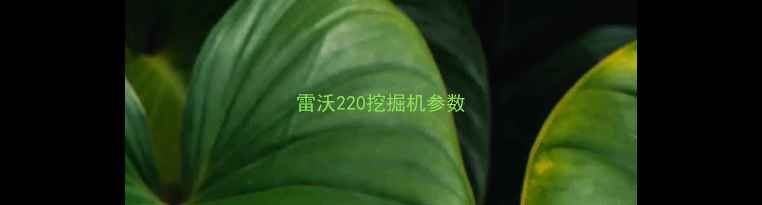 图片 雷沃220挖掘机参数