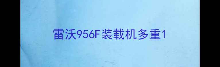 图片 雷沃956F装载机多重1