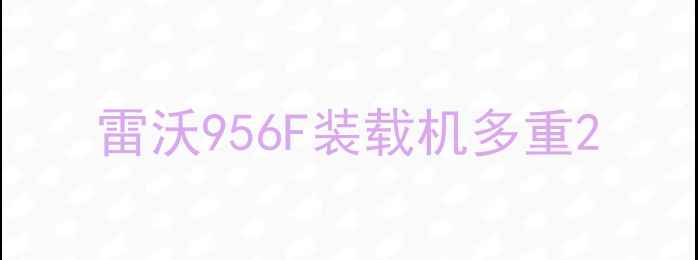 图片 雷沃956F装载机多重2