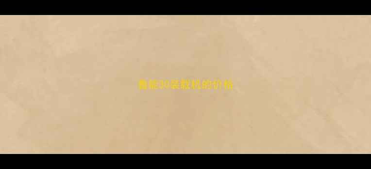 图片 鲁能30装载机的价格