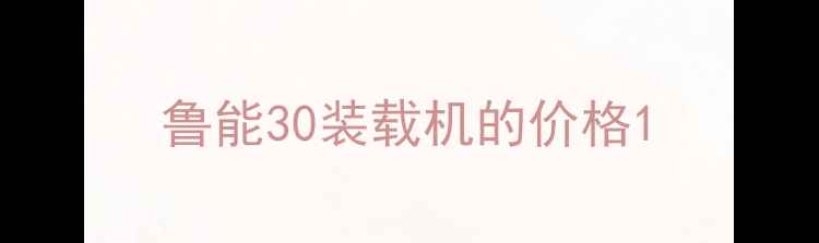 图片 鲁能30装载机的价格1