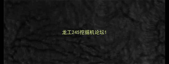 图片 龙工245挖掘机论坛1