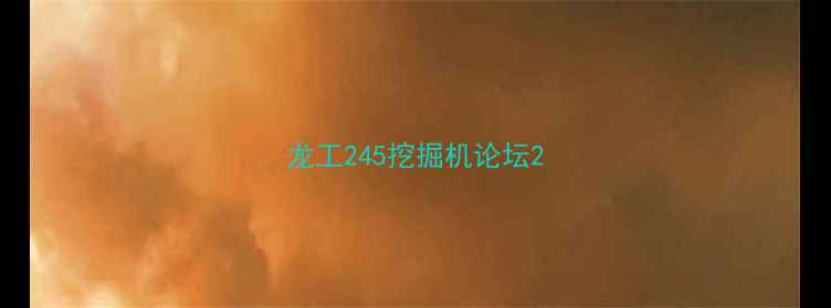 图片 龙工245挖掘机论坛2