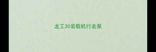 图片 龙工30装载机行走泵