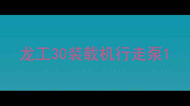 图片 龙工30装载机行走泵1