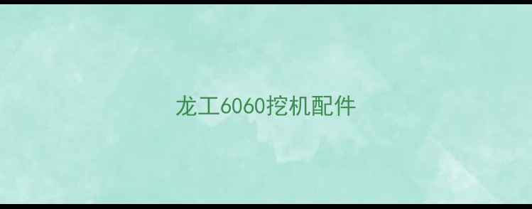图片 龙工6060挖机配件
