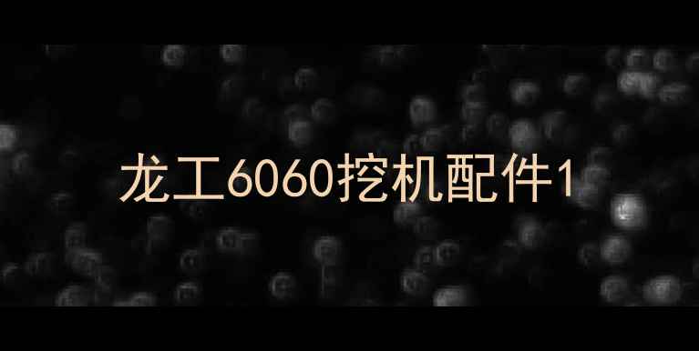 图片 龙工6060挖机配件1