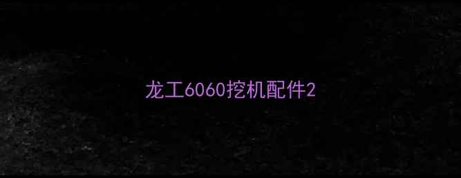 图片 龙工6060挖机配件2