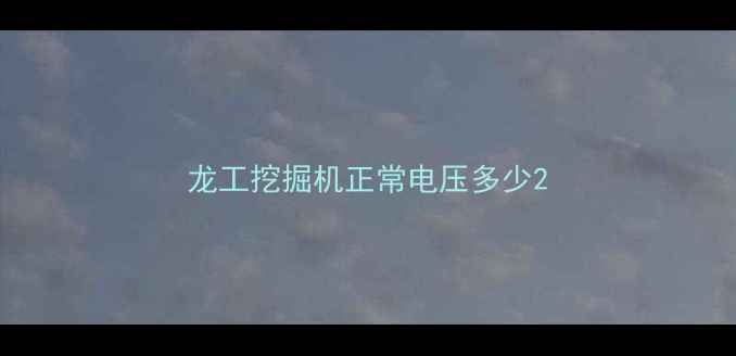 图片 龙工挖掘机正常电压多少2
