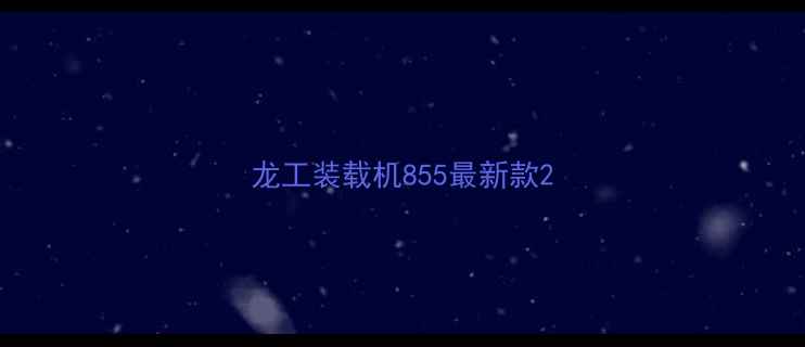 图片 龙工装载机855最新款2